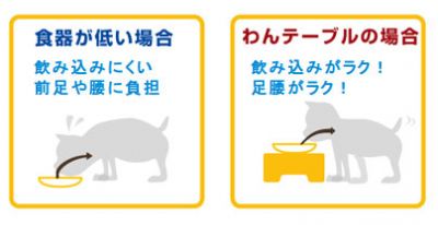 わんテーブル