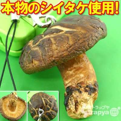 椎茸ストラップ