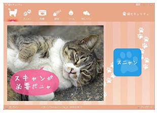 猫セキュリティ