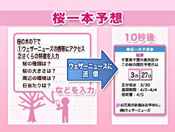 桜一本予想