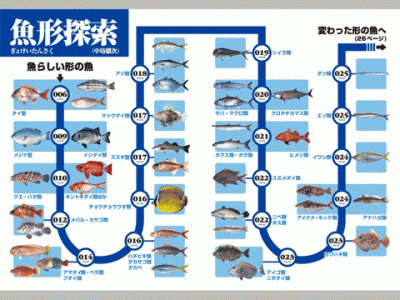 釣魚識別図鑑