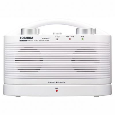 TY-WSD10