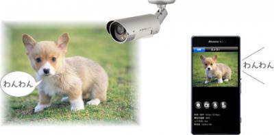 CS-W80HD