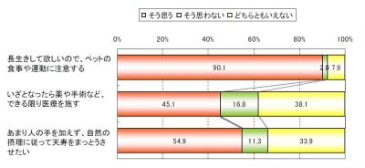 コセクイン