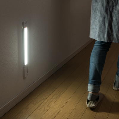 800-LED019