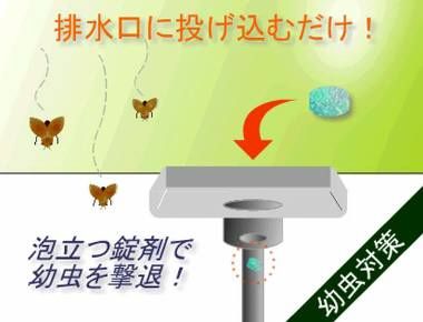 排水口コバエ退治