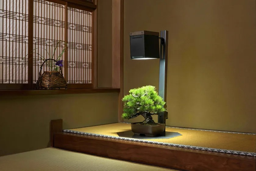 新製品