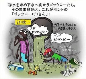 ゴキちゃんグッバイ