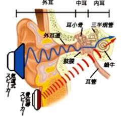 きくテル