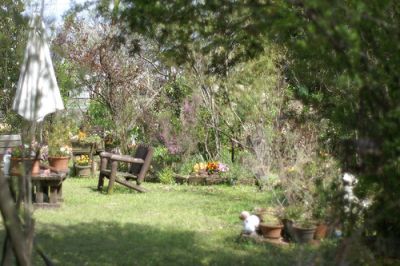 花菜(かな)ガーデン