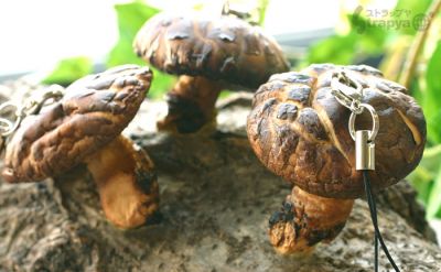 椎茸ストラップ