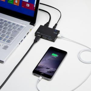 USB-3HCA410BK