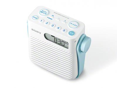 ICF-S80