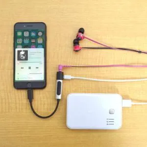 ニコイチアダプタ