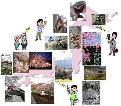 新サービス