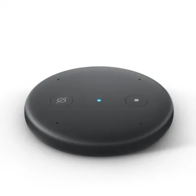 Amazon Echo Input